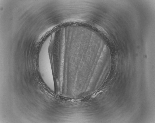 X0000060280872200511112111