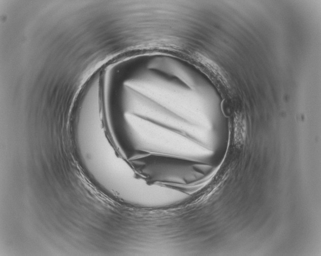 X0000060280876200511112111