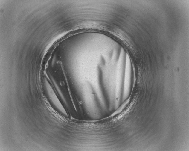 X0000060280880200511112110
