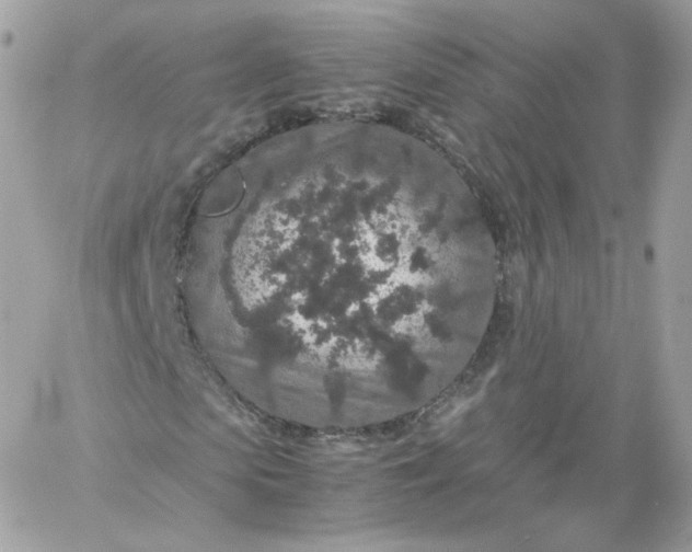 X0000060280913200511112109