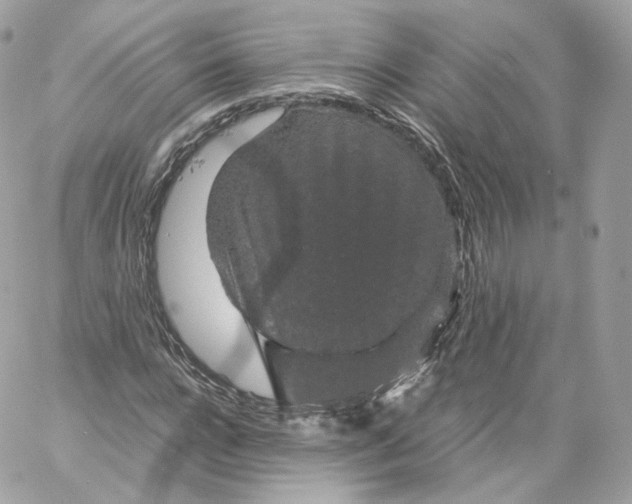 X0000060280920200511112109