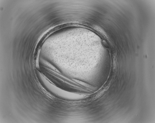 X0000060280924200511112109