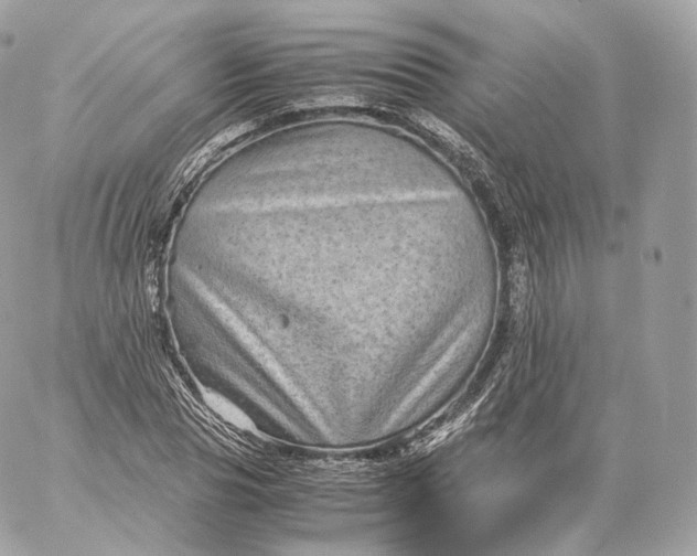 X0000060280929200511112109