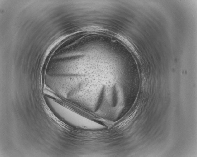 X0000060280939200511112110