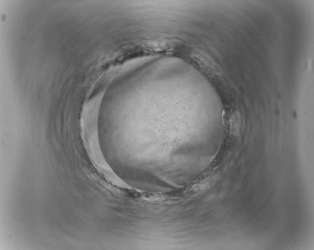 X0000060280961200511112109