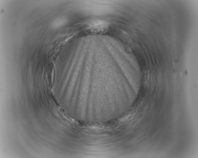 X0000060280962200511112109