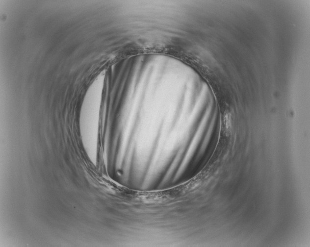 X0000060280963200511112109