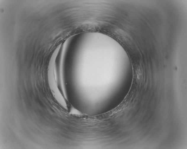 X0000060280964200511112109