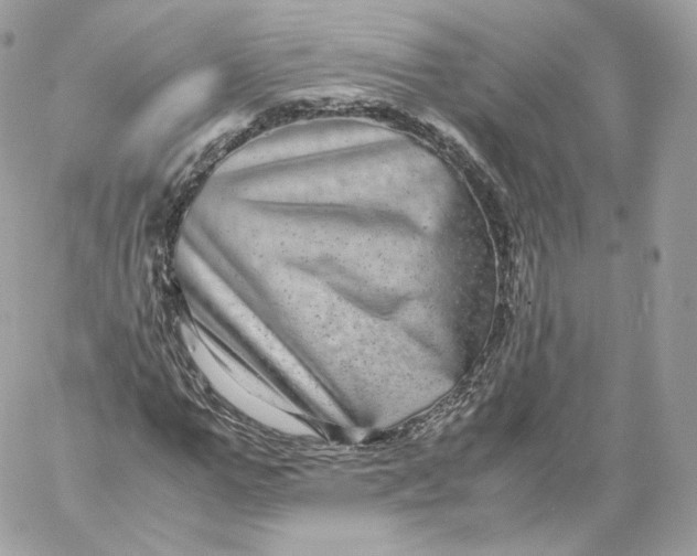 X0000060280967200511112109
