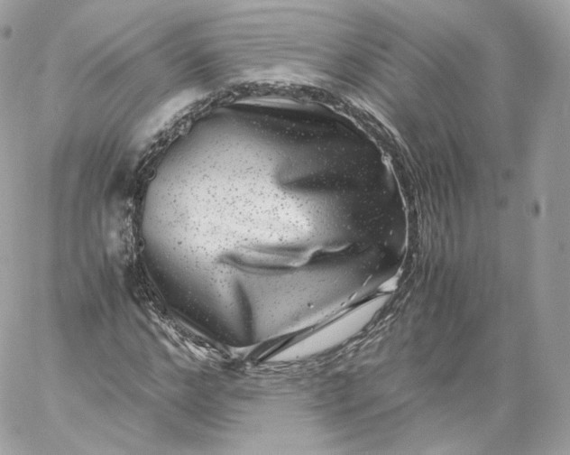 X0000060280968200511112109