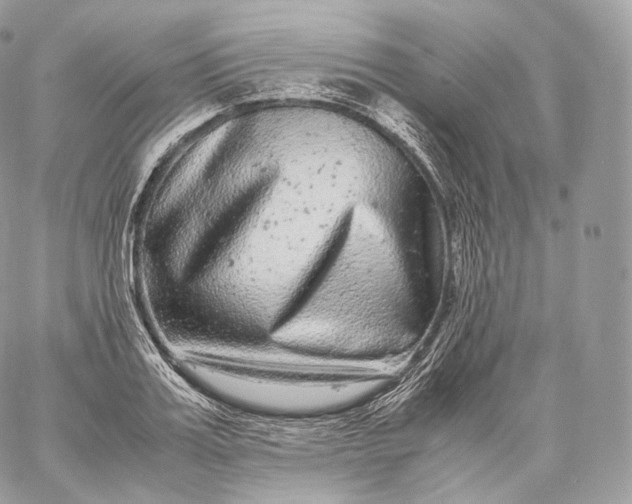 X0000060280987200511112109