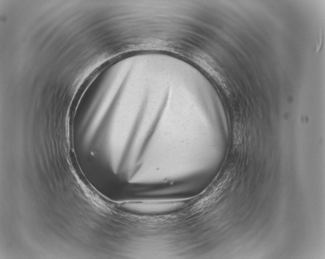 X0000060280988200511112109