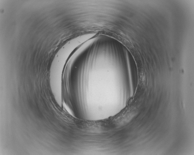 X0000060281012200511112108