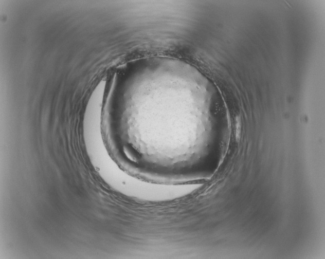 X0000060281059200511112107