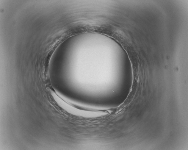 X0000060281061200511112107