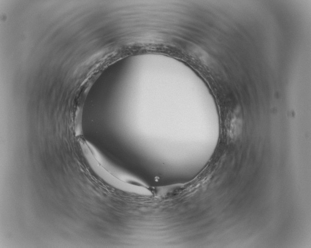 X0000060281062200511112107