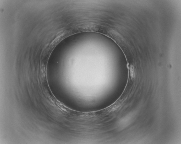 X0000060281107200511112106