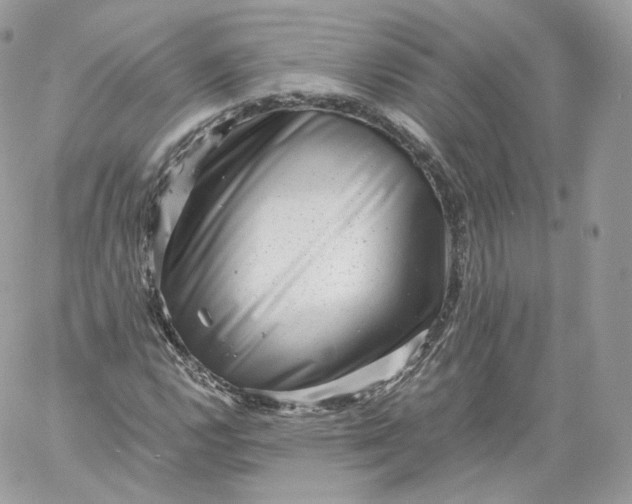 X0000060281112200511112106