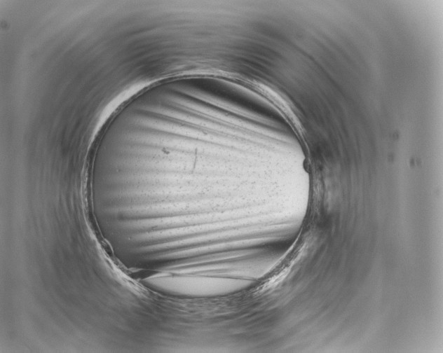 X0000060281149200511112107