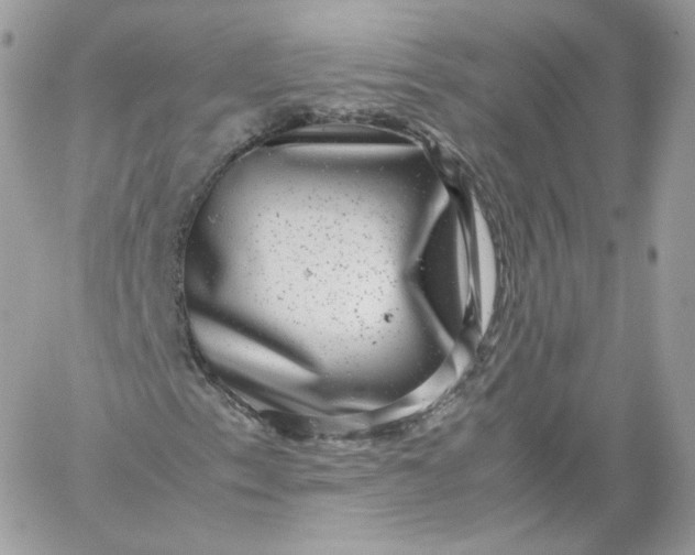 X0000060281153200511112106