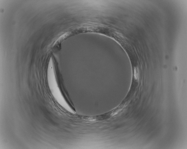 X0000060281155200511112106