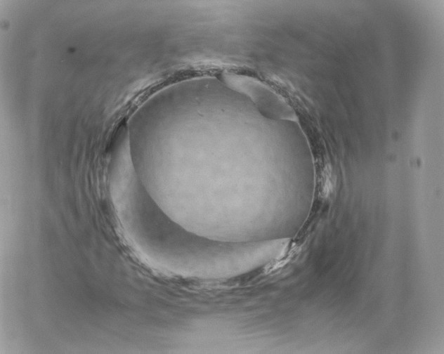 X0000060281157200511112106