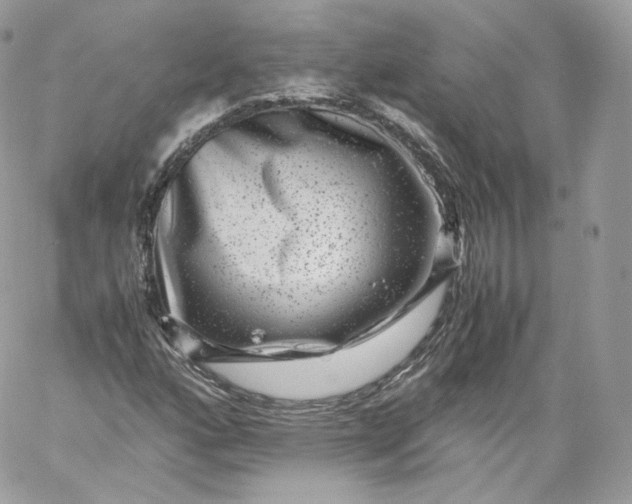 X0000060281160200511112106