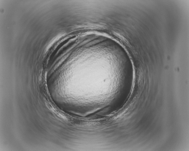 X0000060281163200511112106