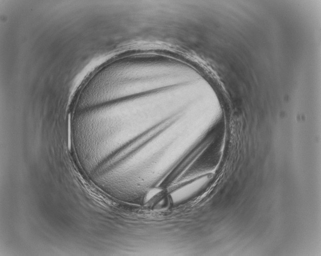 X0000060281175200511112105