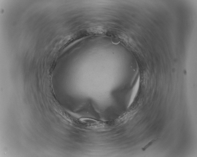 X0000060281201200511112104