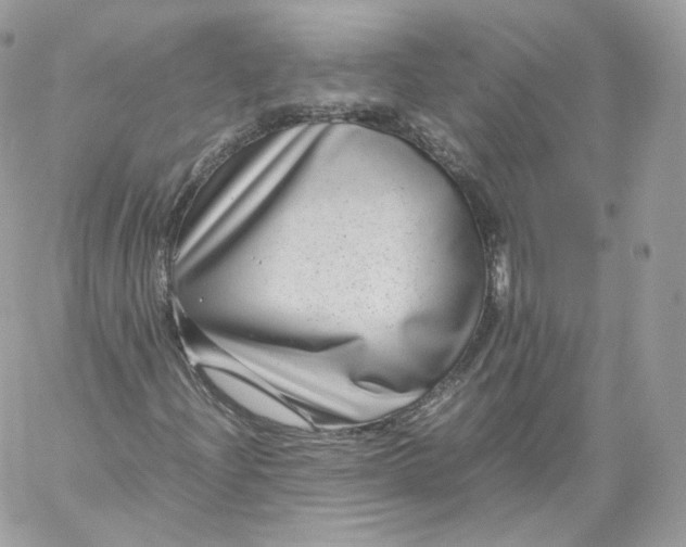 X0000060281204200511112104