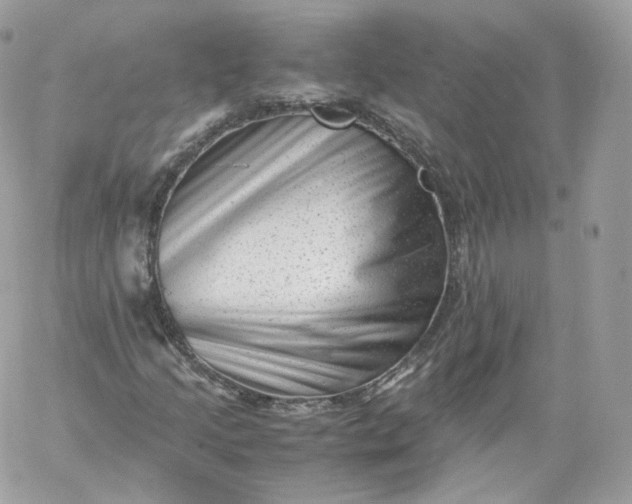 X0000060281205200511112104