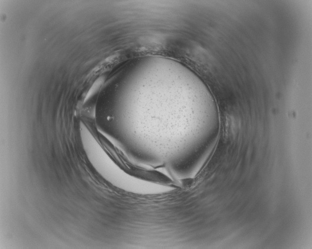 X0000060281250200511112104