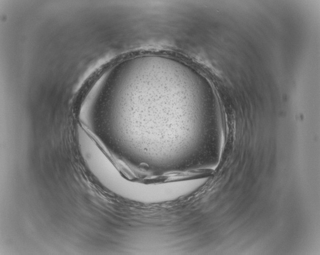 X0000060281256200511112104