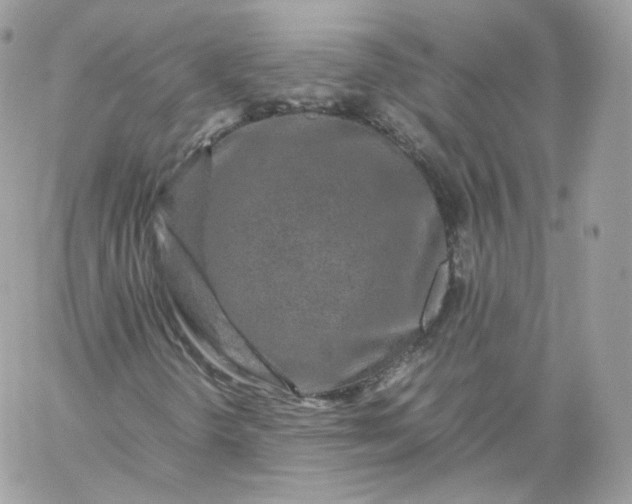 X0000060281298200511112103