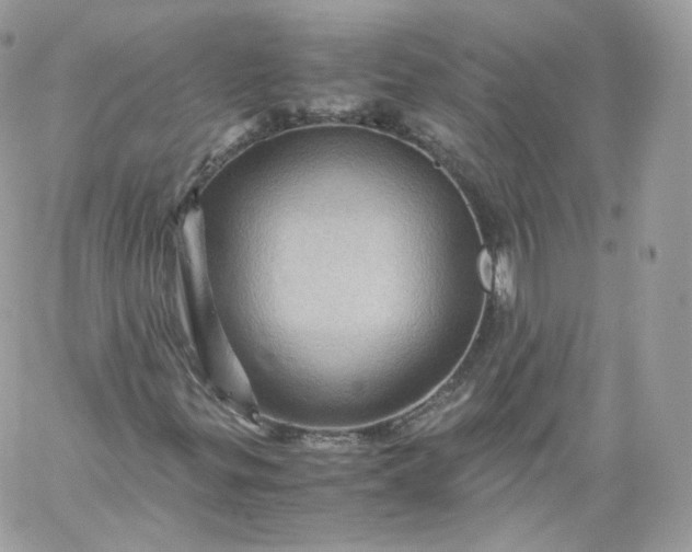 X0000060281299200511112103