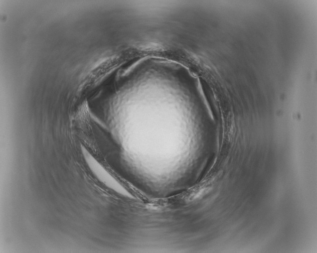 X0000060281301200511112103