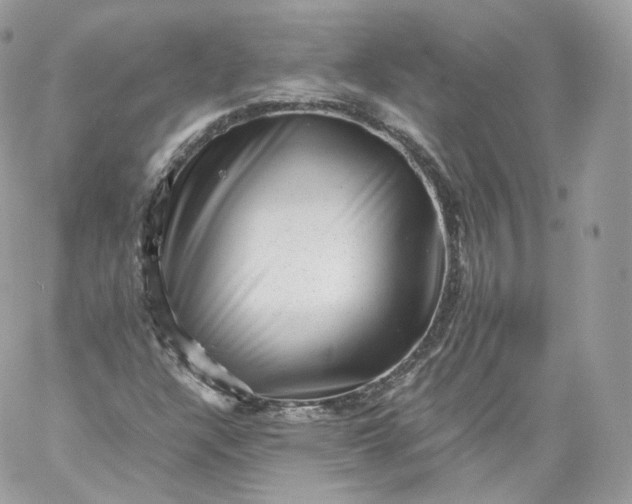 X0000060281304200511112103