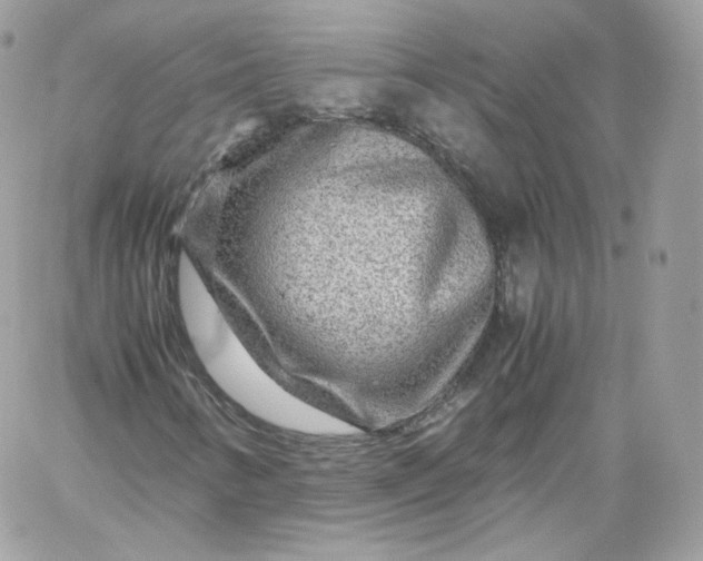 X0000060281346200511112103