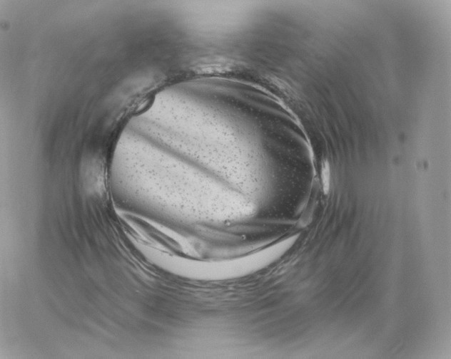 X0000060281444200511112101