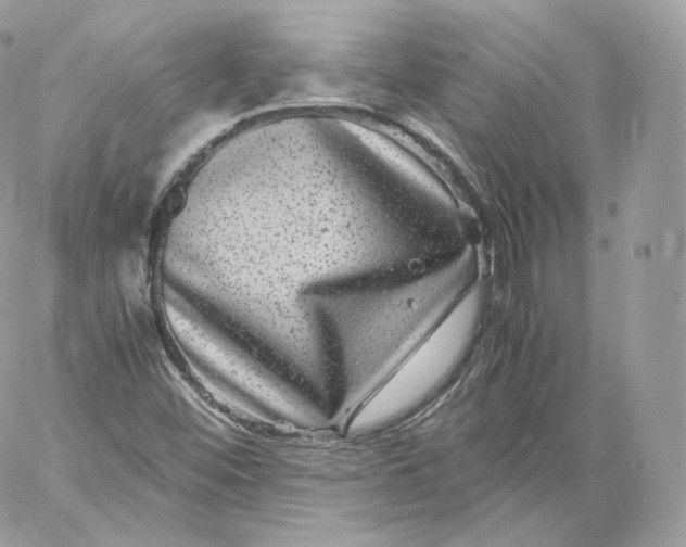 X0000060281452200511112101