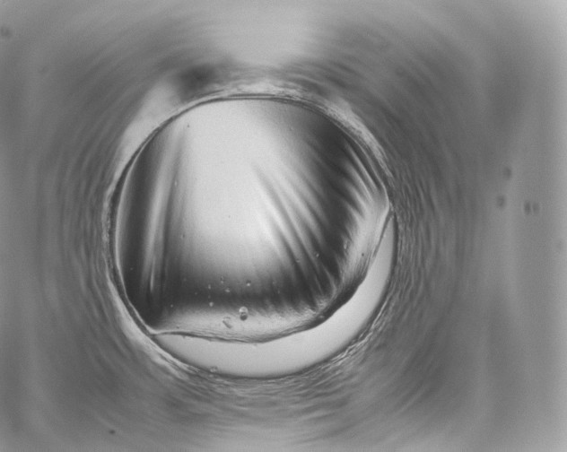 X0000060281483200511112100