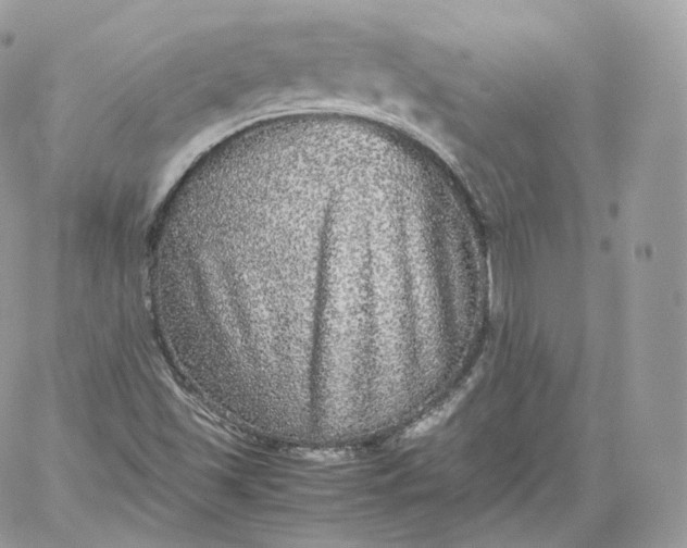 X0000060281501200511112100