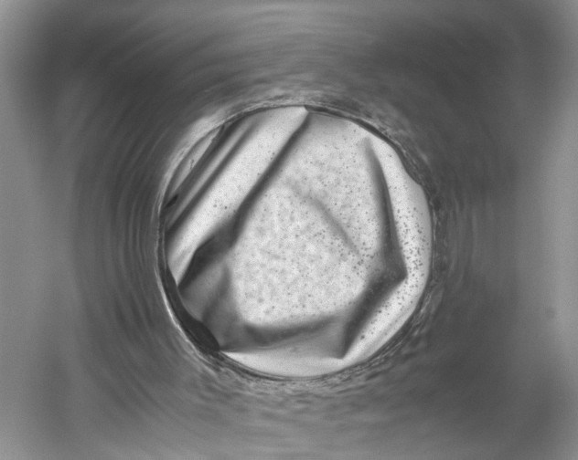 X0000060280003200511181334