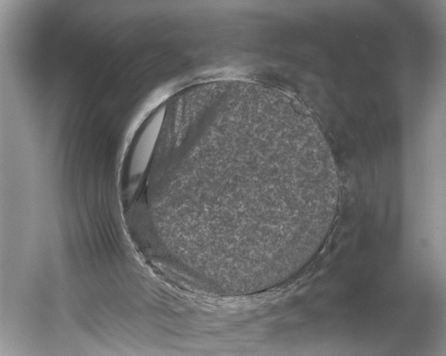 X0000060280006200511181334