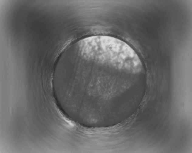 X0000060280009200511181334