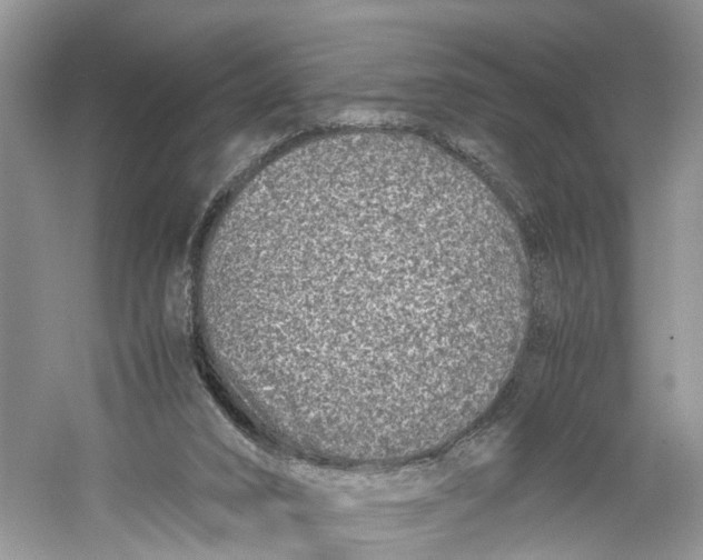 X0000060280016200511181334