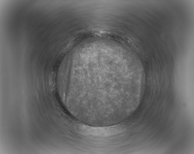 X0000060280030200511181334