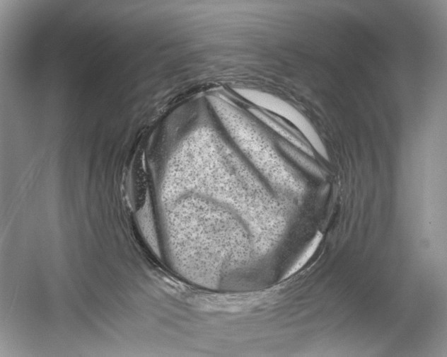X0000060280033200511181334