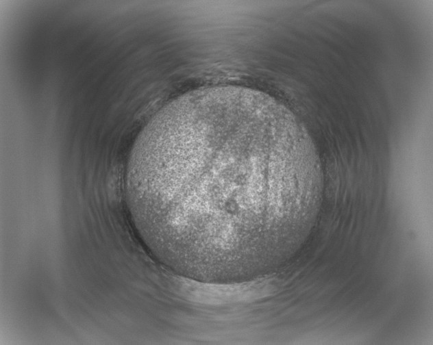X0000060280034200511181334